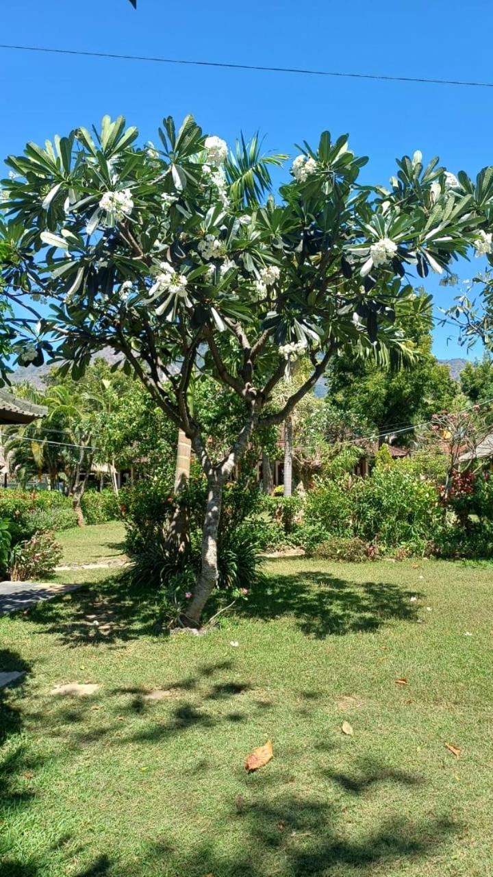 The Beach Bungalows & Turtle Sanctuary Pemuteran  Exterior photo